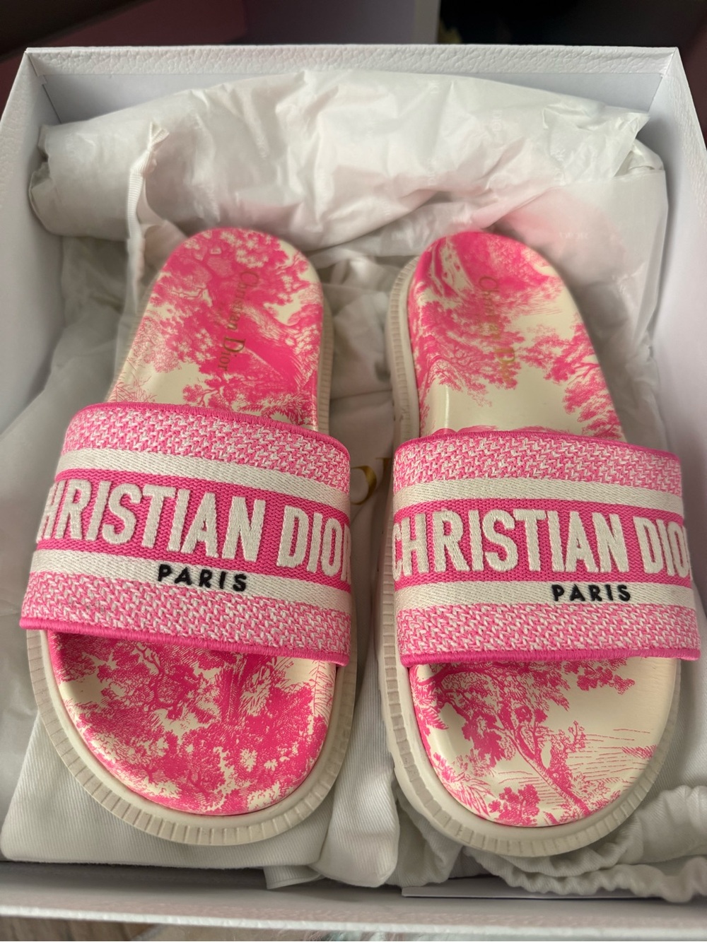 Dior Dway Pink Toile print and Cream Christian Dior Slide Sandals